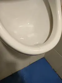 IMG20231116124451.webp IMG20231116124451.webp