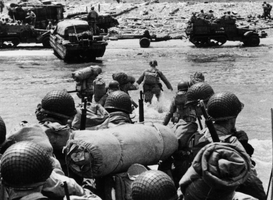 1000020134.webp 1000020134.webp