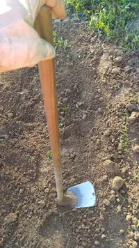 IMG-20231223-WA0001.webp IMG-20231223-WA0001.webp