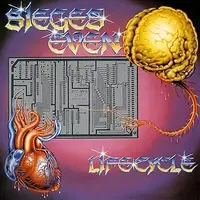 1707147260368.webp 1707147260368.webp