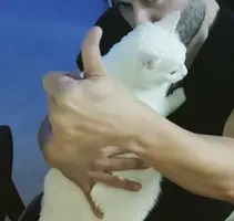 Captura 2024-04-07 a las 23.20.16.jpeg.webp Captura 2024-04-07 a las 23.20.16.jpeg.webp