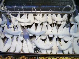 Screenshot_406.webp Screenshot_406.webp