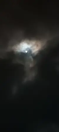 20240421_002329.webp 20240421_002329.webp