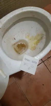 1716019364911.webp 1716019364911.webp