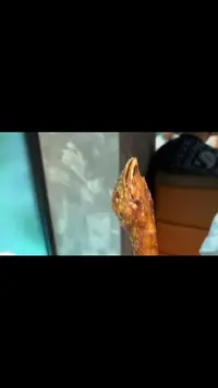 Screenshot_20240601_202019_com.whatsapp.webp Screenshot_20240601_202019_com.whatsapp.webp