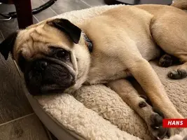 1720776421381.webp 1720776421381.webp