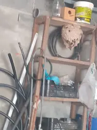 IMG-20240810-WA0046.webp IMG-20240810-WA0046.webp