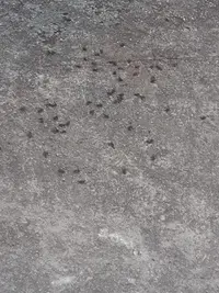 IMG-20240810-WA0047.webp IMG-20240810-WA0047.webp