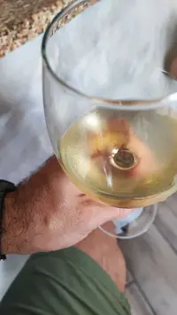 IMG_20240817_122442.webp IMG_20240817_122442.webp