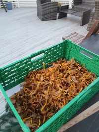 20240927_182312.webp 20240927_182312.webp