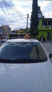 1000099665.webp 1000099665.webp