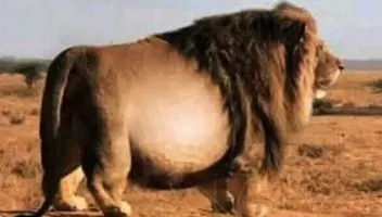 Screenshot_547.webp Screenshot_547.webp