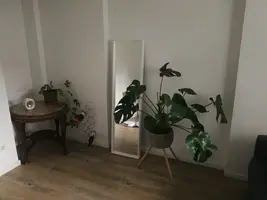 IMG_20241013_152209.webp IMG_20241013_152209.webp