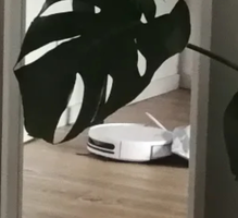 9953022D-336A-44E7-A7AB-F74B11F0BF0A.webp 9953022D-336A-44E7-A7AB-F74B11F0BF0A.webp