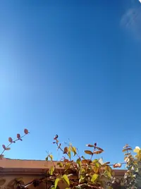 17350459485856094156492050521374.webp 17350459485856094156492050521374.webp