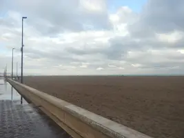 IMG-20241231-WA0000.webp IMG-20241231-WA0000.webp