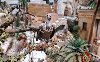 20241231_112443.webp 20241231_112443.webp