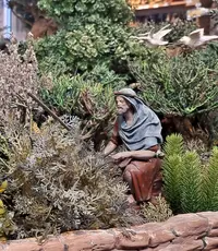 20241231_113040.webp 20241231_113040.webp