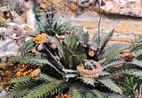 20241231_112748.webp 20241231_112748.webp