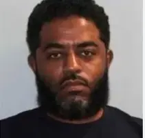 1735813246578.webp 1735813246578.webp