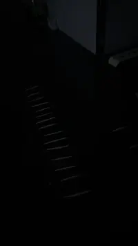 IMG_4810.webp IMG_4810.webp