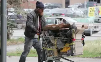 Screenshot_2025-01-21-07-23-17-755_com.google.android.googlequicksearchbox.webp Screenshot_2025-01-21-07-23-17-755_com.google.android.googlequicksearchbox.webp