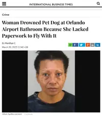 Screenshot_2025-03-25-20-44-08-262_com.android.chrome-edit.webp Screenshot_2025-03-25-20-44-08-262_com.android.chrome-edit.webp