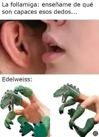 1743457130762.webp 1743457130762.webp