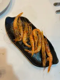 IMG-20250426-WA0022.webp IMG-20250426-WA0022.webp