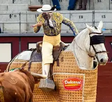 ZomboMeme 01052025045951.webp ZomboMeme 01052025045951.webp