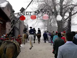 photo-24_jpg.webp photo-24_jpg.webp