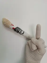 IMG_20250402_113049.webp IMG_20250402_113049.webp