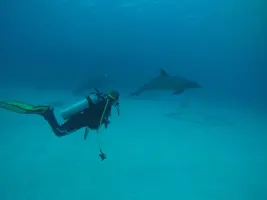 GOPR2066.webp GOPR2066.webp