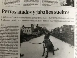 IMG_4052.webp IMG_4052.webp