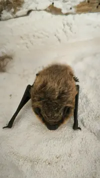 IMG_20241023_120907.webp IMG_20241023_120907.webp