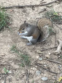 IMG_5830.webp IMG_5830.webp