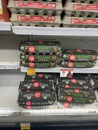 image.webp image.webp