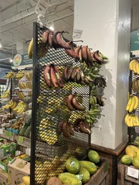 image.webp image.webp