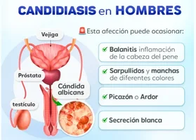 1754150495508.webp 1754150495508.webp