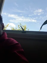 20250810_161405.webp 20250810_161405.webp