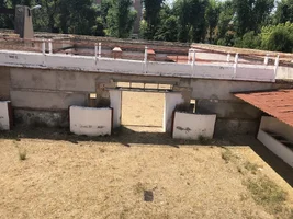 IMG_0493.webp IMG_0493.webp