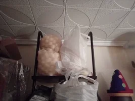 IMG_20250818_080138.webp IMG_20250818_080138.webp