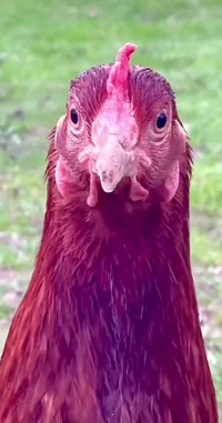 Screenshot_20250812_013009_Instagram.webp Screenshot_20250812_013009_Instagram.webp