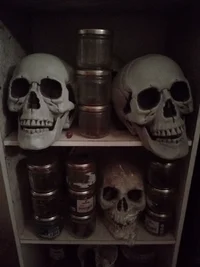 IMG_20250819_041312.webp IMG_20250819_041312.webp