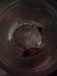 IMG_20250819_041434.webp IMG_20250819_041434.webp