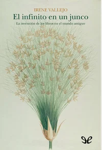 IMG-20250819-WA0022.webp IMG-20250819-WA0022.webp