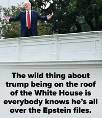 IMG_2554.webp IMG_2554.webp