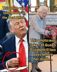 IMG_3025.webp IMG_3025.webp