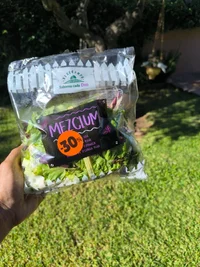 IMG_20250831_103306.webp IMG_20250831_103306.webp