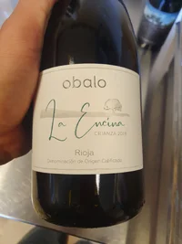 20250913_125546.webp 20250913_125546.webp